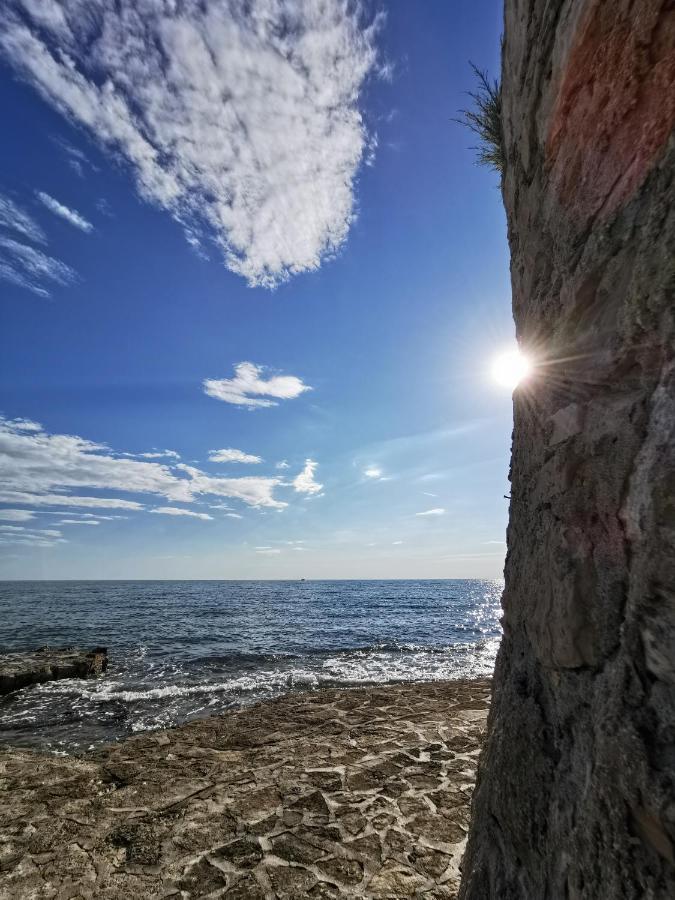 Mirta Deluxe Superior 5 Star Apartment, Your Piece Of Heaven By The Sea & Park, With Sea & Park View Novigrad Istria Dış mekan fotoğraf