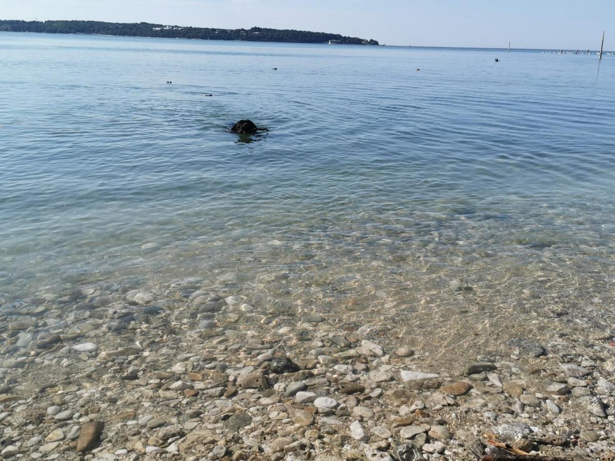 Mirta Deluxe Superior 5 Star Apartment, Your Piece Of Heaven By The Sea & Park, With Sea & Park View Novigrad Istria Dış mekan fotoğraf