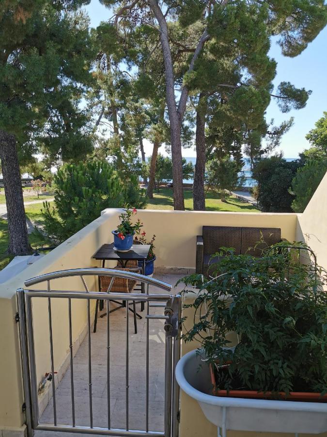 Mirta Deluxe Superior 5 Star Apartment, Your Piece Of Heaven By The Sea & Park, With Sea & Park View Novigrad Istria Dış mekan fotoğraf
